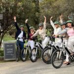 McLaren Vale: E-Bike Rental to Explore the Vineyards - An In-Depth Look at the McLaren Vale E-Bike Experience