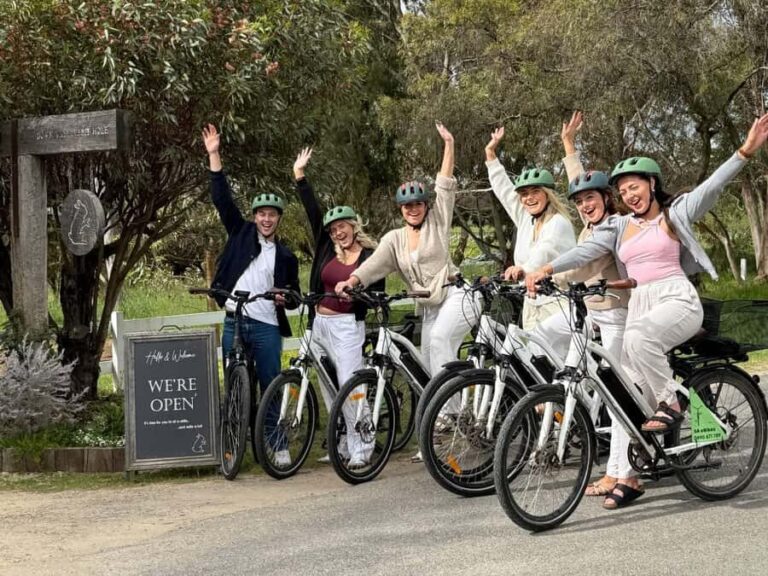 McLaren Vale: E-Bike Rental to Explore the Vineyards - An In-Depth Look at the McLaren Vale E-Bike Experience