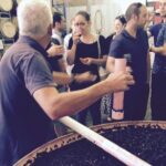 McLaren Vale Private Wine Tour - An In-Depth Look at the McLaren Vale Private Wine Tour