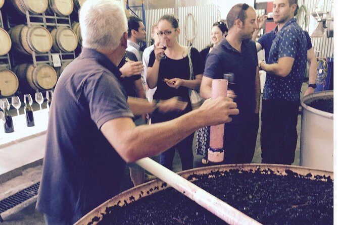McLaren Vale Private Wine Tour - An In-Depth Look at the McLaren Vale Private Wine Tour