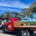 McLaren Vale Small Group Wine Tour inc d'Arenberg Cube & lunch - Key Points