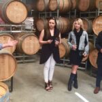 McLaren Vale: Small Group Wine Tour (Includes Lunch) - Discovering McLaren Vale’s Unique Charm