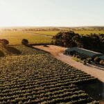 McLaren Vale South Hop-On Hop-Off Winery Tour - Key Points