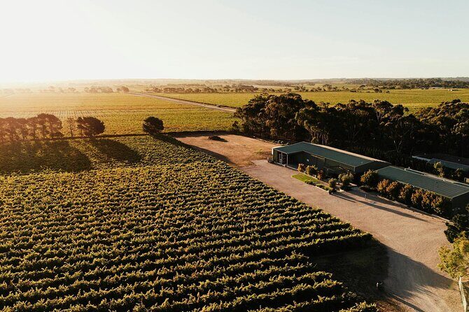 McLaren Vale South Hop-On Hop-Off Winery Tour - Key Points
