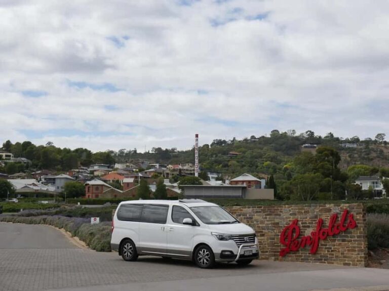 McLaren Vale Wine Tour - Exploring the Itinerary in Detail