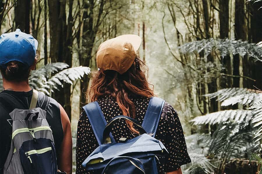 Melbourne: 12 Apostles, Otways & Great Ocean Road Day Tour - Detailed Breakdown of the Itinerary