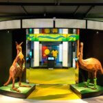 Melbourne: MCG and Australian Sports Museum Guided Tour - Final Thoughts