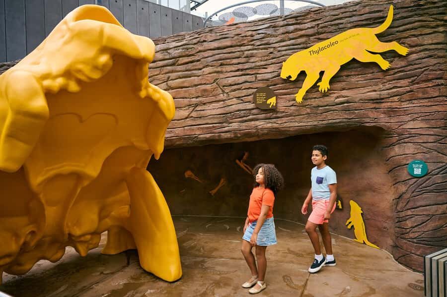 Melbourne: Melbourne Museum Entry Ticket - What Makes Melbourne Museum Special?