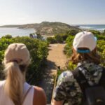 Melbourne: Mornington Peninsula Southern Coast Discovery - Why This Tour Delivers Value