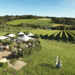 Melbourne: Mornington Peninsula Wine Day Tour - What’s Included and What’s Not