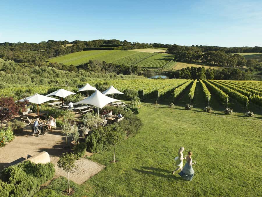 Melbourne: Mornington Peninsula Wine Day Tour - What’s Included and What’s Not