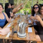 Melbourne: Mornington Peninsula Wine Tour with Lunch - Analyzing the Tour’s Value