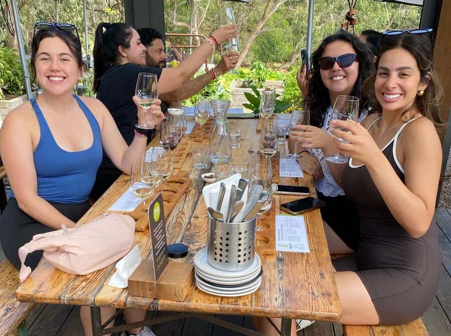 Melbourne: Mornington Peninsula Wine Tour with Lunch - Analyzing the Tour’s Value