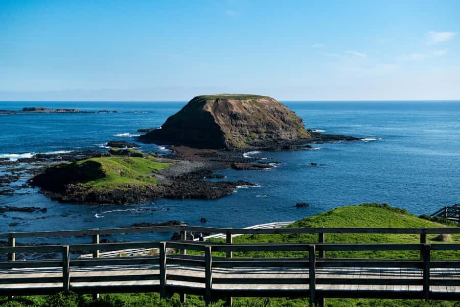 Melbourne: Penguin Parade , Koala & Brighton Bathing Boxes - An In-Depth Look at the Tour Experience