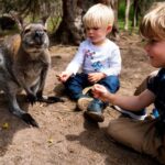 Melbourne: Peninsula Nature Private Day Trip with Dinner - What’s Included and What’s Not