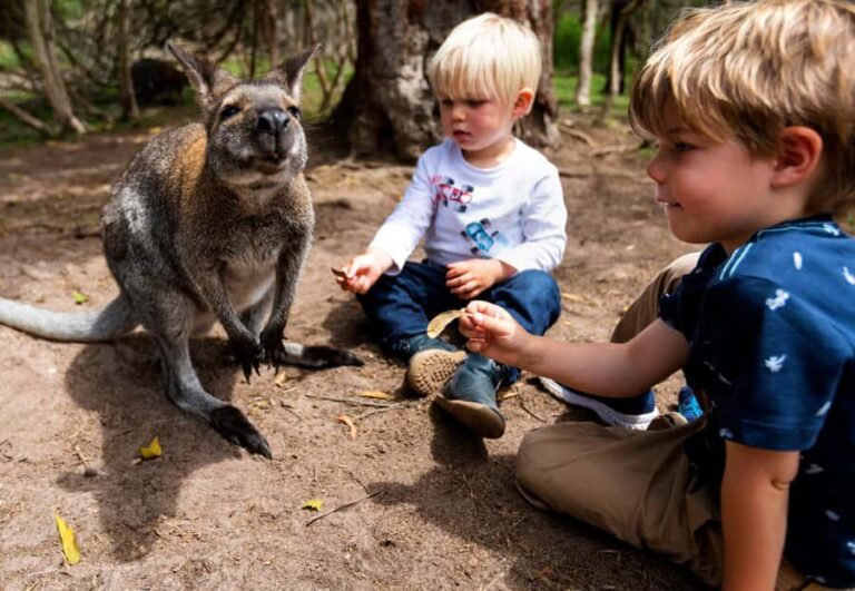 Melbourne: Peninsula Nature Private Day Trip with Dinner - What’s Included and What’s Not