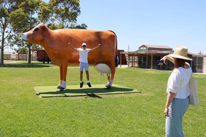 Melbourne Phillip Island 1 Day Tour - What Travelers Say: Authentic Perspectives