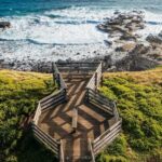Melbourne: Phillip Island Penguin Parade Watching Day Tour - Analyzing the Value