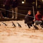 Melbourne: Phillip Island Tour & Penguin Parade - Stunning Coastal Scenery and Wildlife Viewing Opportunities