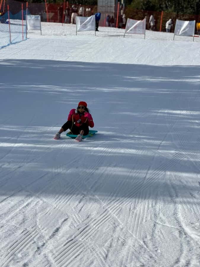 Melbourne: Private Lake Mountain Snow & Redwood Forest Tours - What This Tour Means for You