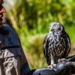 Melbourne: Puffing Billy & Healesville Sanctuary Scenic Tour - Final Thoughts