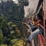 Melbourne: Puffing Billy Railway & Rainforest Tour - The Value Proposition