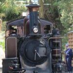 Melbourne: Puffing Billy Train and Penguin Island Day Tour - Analyzing the Value and Overall Experience