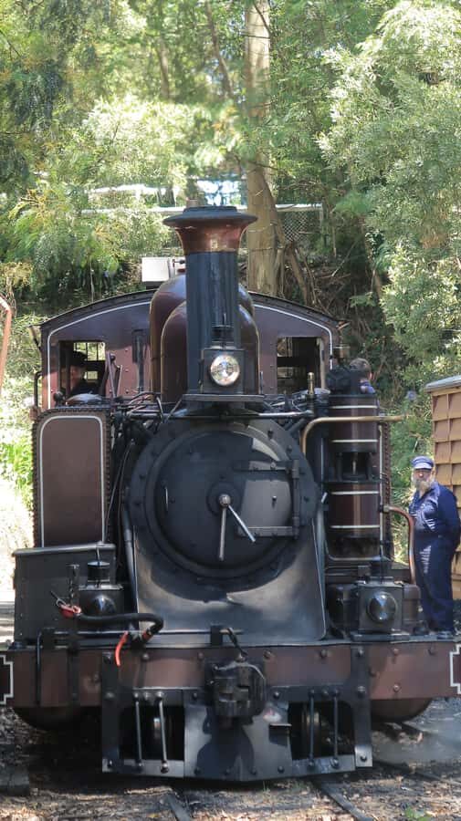 Melbourne: Puffing Billy Train and Penguin Island Day Tour - Analyzing the Value and Overall Experience