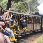 Melbourne Puffing Billy Train and Penguin Parade Day Tour Escape - Detailed Breakdown of the Itinerary