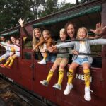Melbourne: Puffing Billy Train & Penguin Island Excursion - How the Experience Feels in Practice