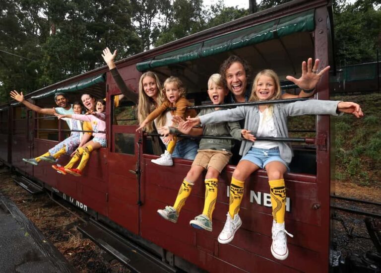 Melbourne: Puffing Billy Train & Penguin Island Excursion - How the Experience Feels in Practice