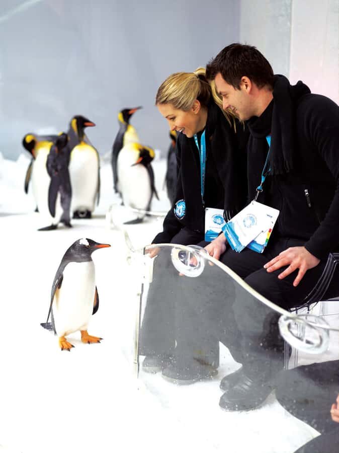 Melbourne: SEA LIFE Aquarium Entrance Ticket - The Experience in Detail