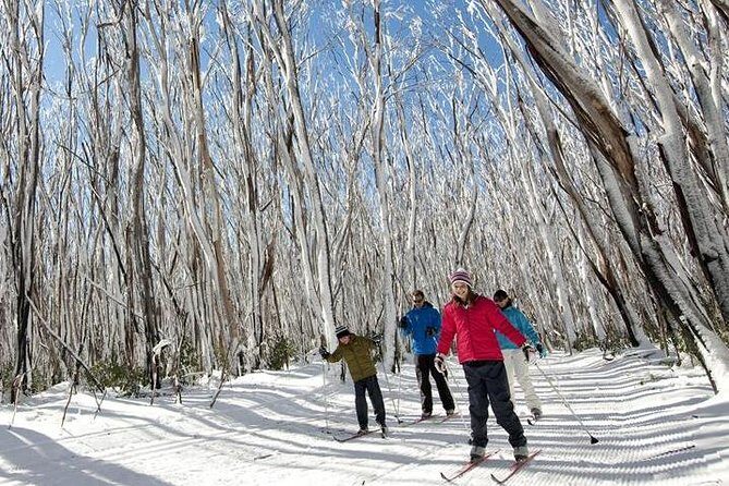 Melbourne Snow Trip to Lake Mountain with Chocolates & Waterfalls - Who Will Enjoy This Tour?