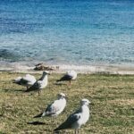 Melbourne: The Great Ocean Road Private Tour - Why This Tour Stands Out