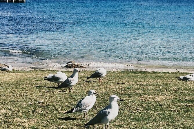 Melbourne: The Great Ocean Road Private Tour - Why This Tour Stands Out