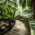 Melbourne to Adelaide 3-Day Great Ocean Road & Grampians Tour - Authentic Experiences That Shine