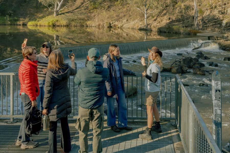 Melbourne Tour: Walk the Yarra & Historic Boathouse Lunch - Is This Tour Worth It?