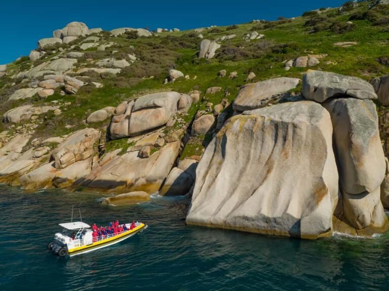 Melbourne: Wilsons Promontory Morning Wilderness Cruise - Who Should Consider This Tour?