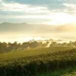Melbourne Yarra Valley Wineries Explore Private Tour - What’s Included and What’s Not