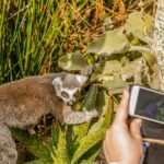 Melbourne Zoo: 1-Day Entry Ticket - Why Visit Melbourne Zoo? Highlights that Matter