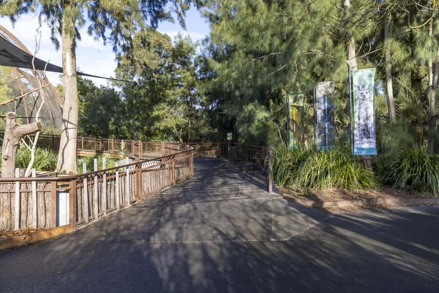 Melbourne Zoo: Australian Wildlife Experience Ticket - Why This Tour Is a Great Choice