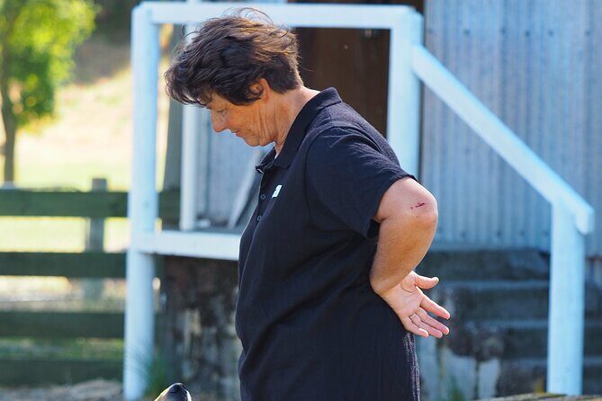 Merino Farm Experience - Who Will Love This Tour?