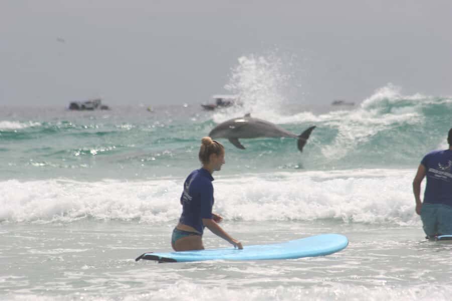 Miami: Group Surf Lesson - Why This Surf Lesson Offers Great Value