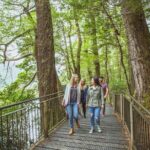 Milford Sound Coach & Cruise Tour from Te Anau - The Value of the Tour