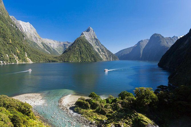 Milford Sound Cruise: Stunning Views & Optional Picnic or Buffet - The Balance of Scenery, Wildlife, and Comfort