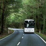 Milford Sound Day Tour from Te Anau - Scenic Stops and Highlights