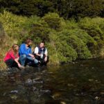 Milford Sound Day Tour with Scenic Cruise from Queenstown - The Itinerary in Detail