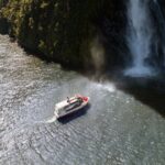 Milford Sound Extended Cruise with Southern Discoveries - Who Should Consider This Tour?