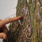 Milford Sound Flight and Cruise ex Queenstown - Why This Tour Offers Great Value