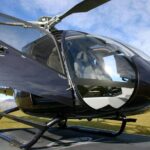 Milford Sound Helicopter Flight and Cruise from Queenstown - Who Will Love This Tour?
